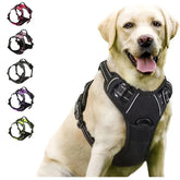 Leather Dog Collar Harness and Leash Set