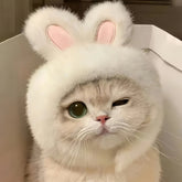 Bunny Ears Cat Hat Pet Costume