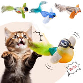 Cat Toy for Kittens with Catnip