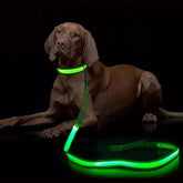 Luminous Flashing Dog Rope Lead