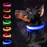 Rechargeable Flashing Pet Collar