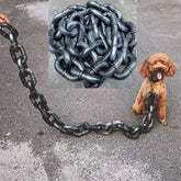 Funny Pet Chain Leash