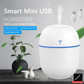 Compact Large Spray Humidifier