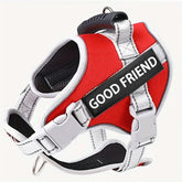 Outdoor Pet Vest Harness