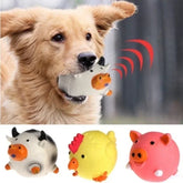 Sound Squeaky Toy for Pets