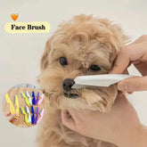 Comfortable Grooming Comb for Pets