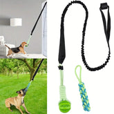 Durable Dog Chewing Accessory