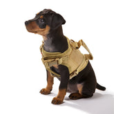 Military Style Dog Training Harness