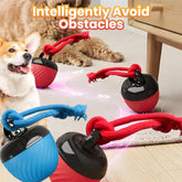 Automatic Bouncing Dog Toy