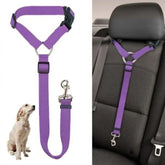 Backseat Dog Harness and Leash