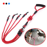 Double Dog Walking Rope Lead