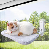 Cozy Cat Hammock Hanging Bed