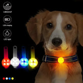 Light Up Dog and Cat Collar