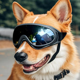 Outdoor Dog Goggles Eye Shield