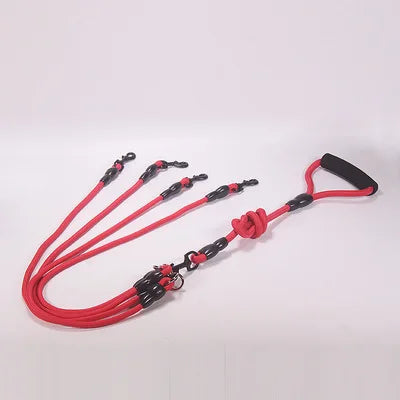 Double Dog Walking Rope Lead