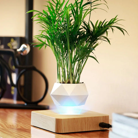 Levitating Magnetic Flower Pot