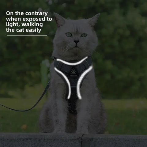 Kitten Puppy Chest Strap Harness