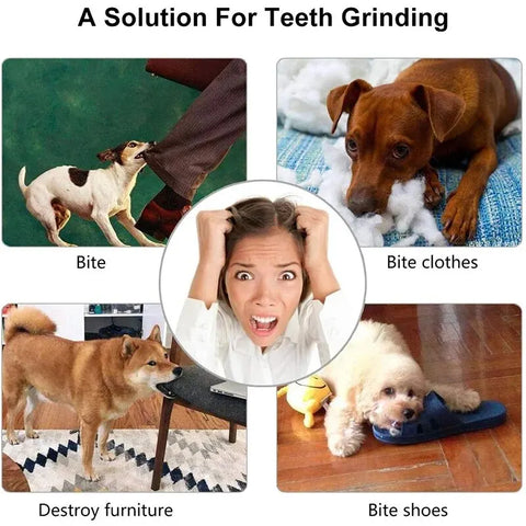 Treat Dispensing Chew Ball for Pets