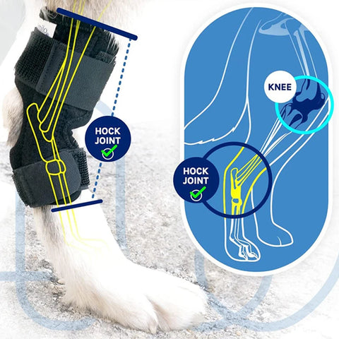 Pet Leg Injury Recovery Wrap