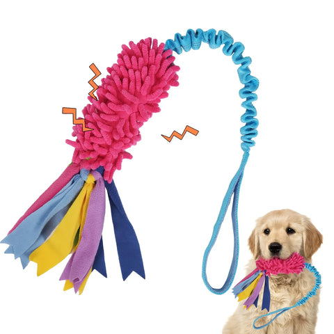 Dog Training Pull Rope and Ball Toy