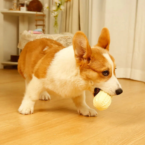 Durable Chew Ball for Dogs
