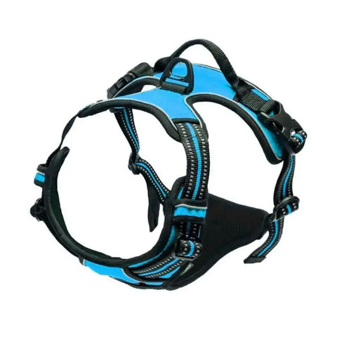Leather Dog Collar Harness and Leash Set