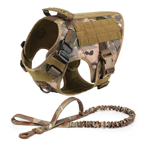 Large Dog Harness Collar and Leash