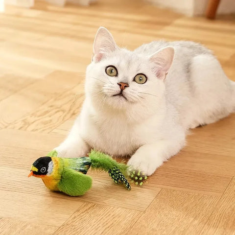 Interactive Catnip Cat Toy