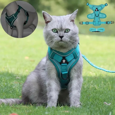 Kitten Puppy Chest Strap Harness