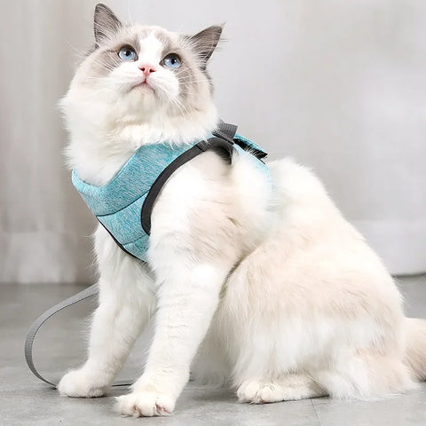 Cat Walking Vest with Leash