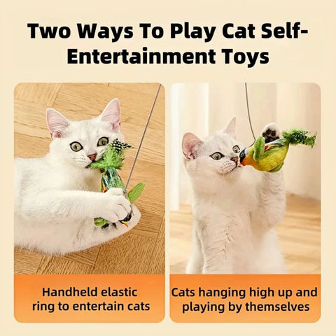 Cat Toy for Kittens with Catnip