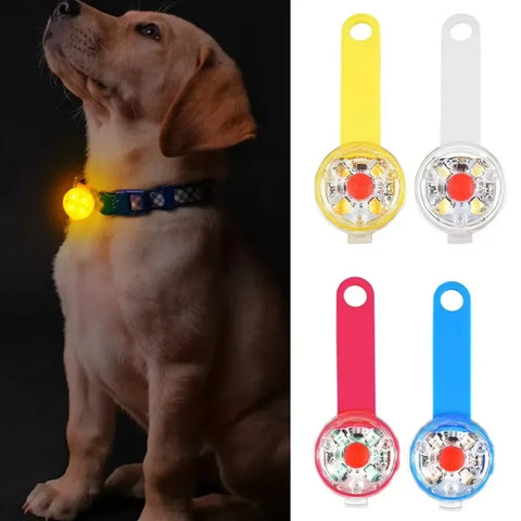 Light Up Dog and Cat Collar