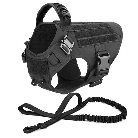 Large Dog Harness Collar and Leash