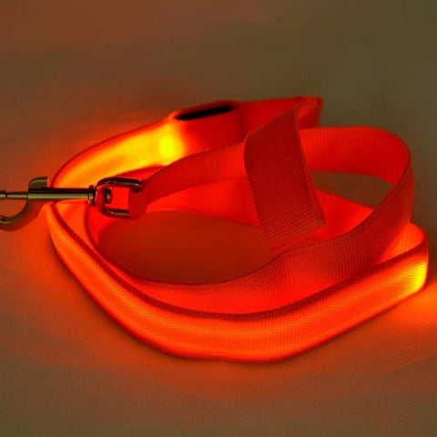 Luminous Flashing Dog Rope Lead