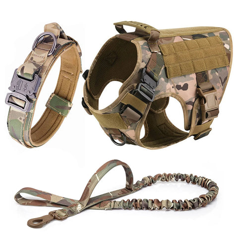 Large Dog Harness Collar and Leash