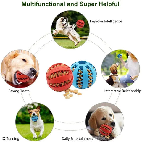 Treat Dispensing Chew Ball for Pets
