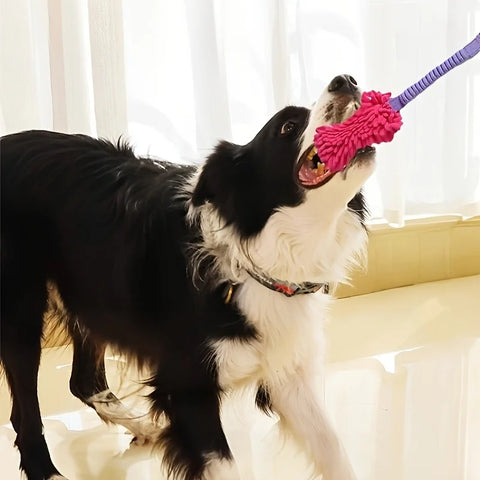Dog Training Pull Rope and Ball Toy