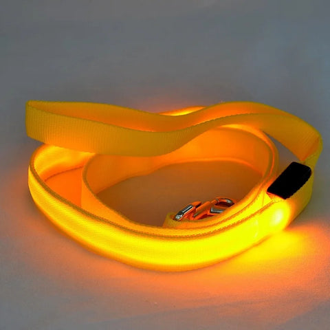 Luminous Flashing Dog Rope Lead