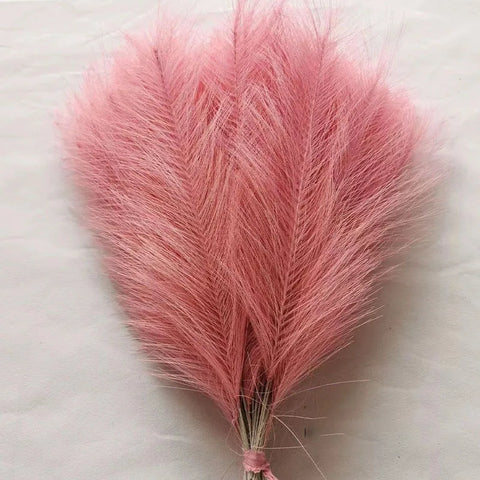 High Quality Decorative Pampas Grass