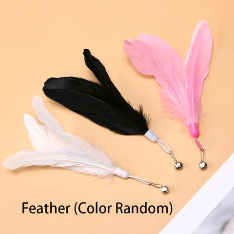 Bird Feather Cat Wand Interactive Toy