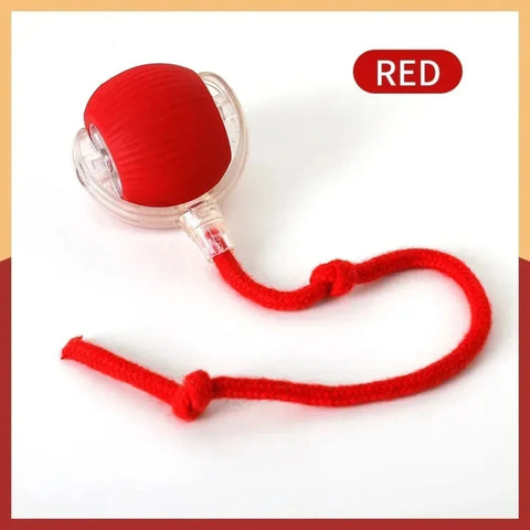 Automatic Rolling Cat Ball Toy