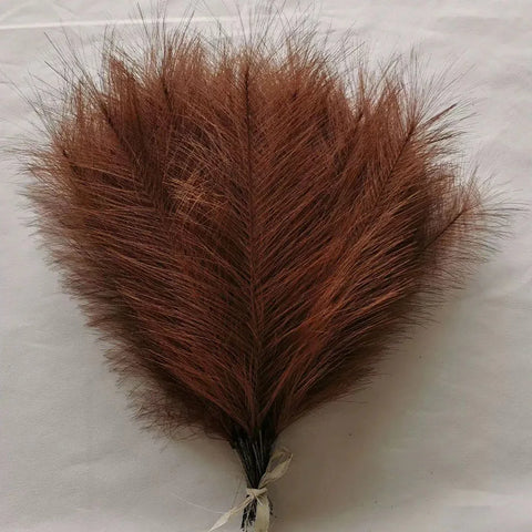 High Quality Decorative Pampas Grass