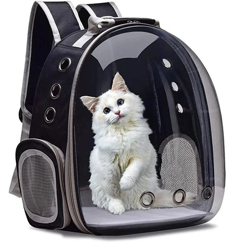 Transparent Dome Pet Backpack