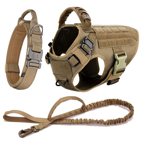 Large Dog Harness Collar and Leash
