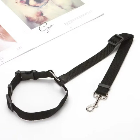 Backseat Dog Harness and Leash