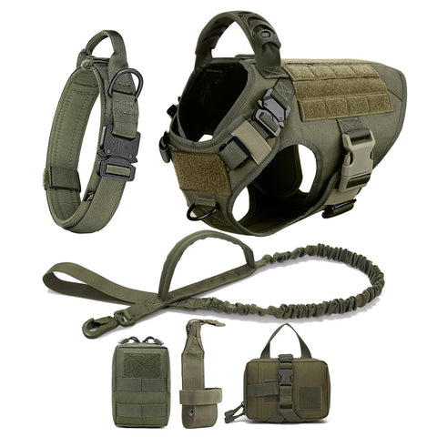Large Dog Harness Collar and Leash