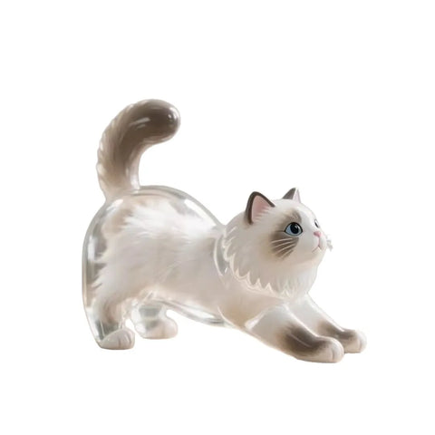 Pet Hair Memory Storage Box