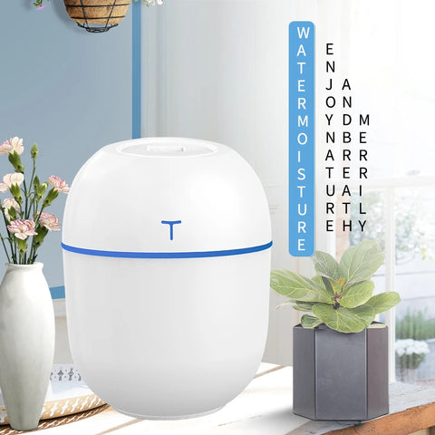 Compact Large Spray Humidifier