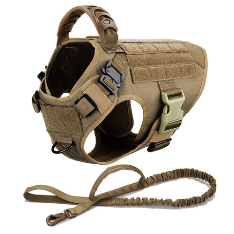 Large Dog Harness Collar and Leash