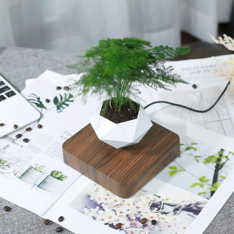Levitating Magnetic Flower Pot